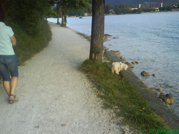 Spaß am Wolfgangsee - 