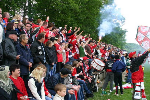 Vorwärts Steyr - 