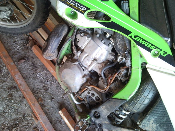 Kawasaki KX 250 - 