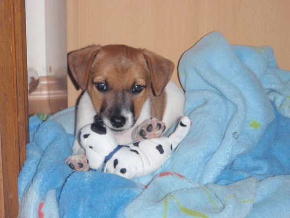 Unser neues BABY "SUNNY" - 