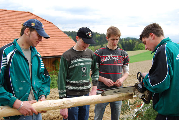 Maibaumaufstellen 2008 - 