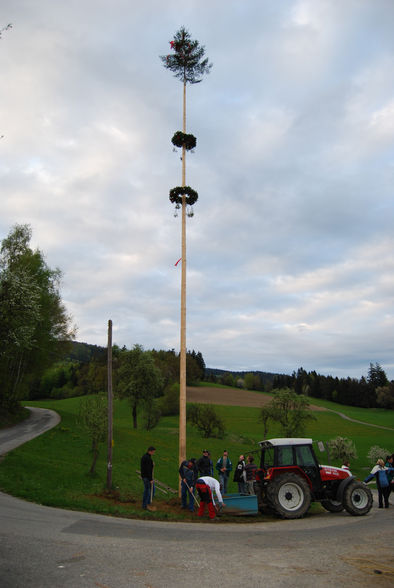 Maibaumaufstellen 2008 - 