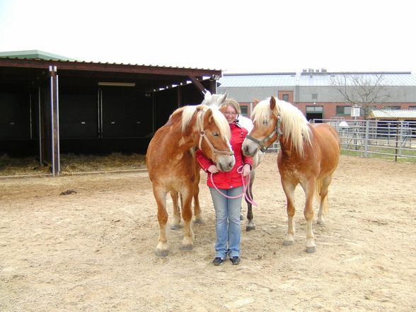 Der Uni-Alltag der VetMed - 