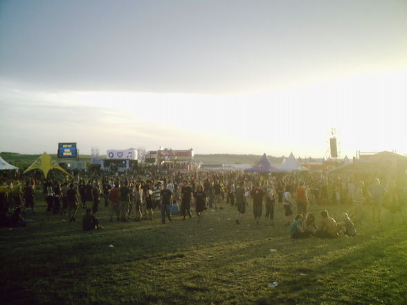 Festivals - 