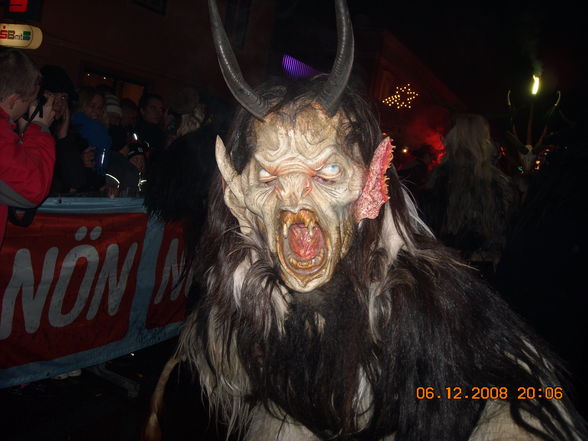 Perchtenlauf Gresten 2008 - 