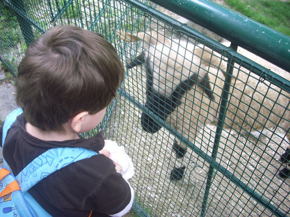 wir waren im zoo - 