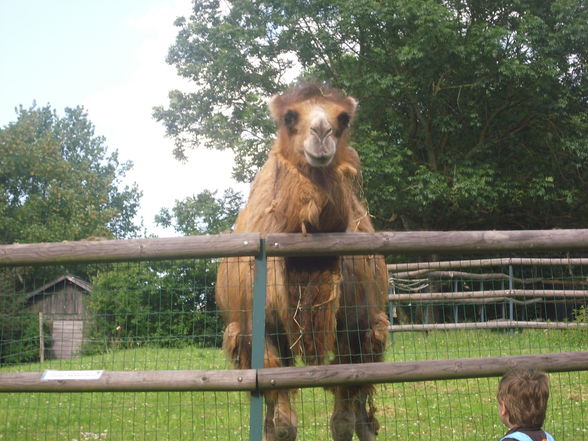 wir waren im zoo - 