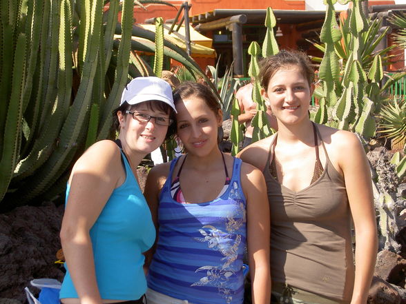 Teneriffa 2008 - 