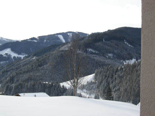 WintersportWochn - 