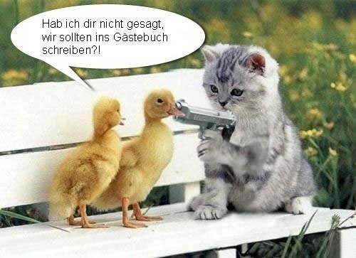 Ohne Worte - 