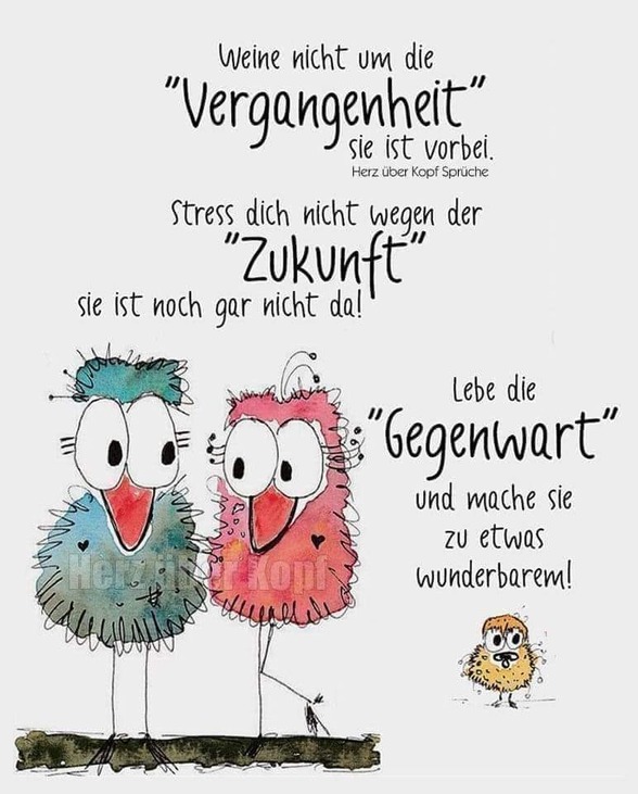 Spruchbilder - 