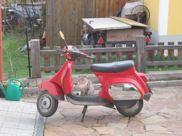 Projekt VESPA - 