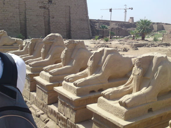 Ägypten Urlaub - 