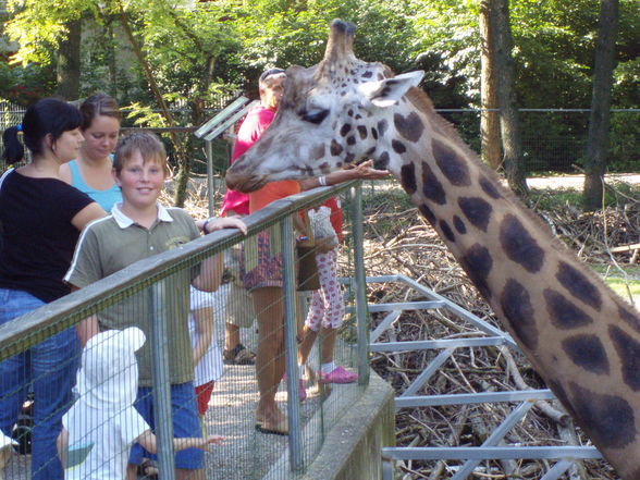 Schmidinger Zoo - 