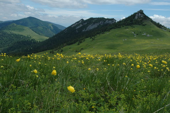 Velka Fatra - 