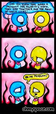 Pon & Zi - 