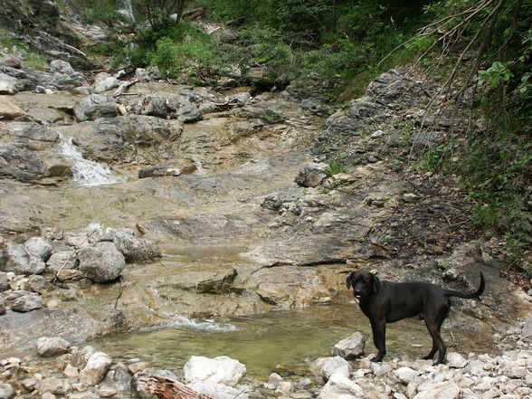 Wanderung Vormauer - 