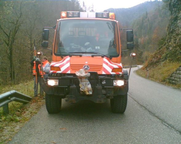 meine Autos - 