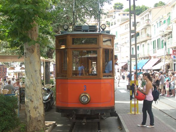 mallorca in port de soller - 