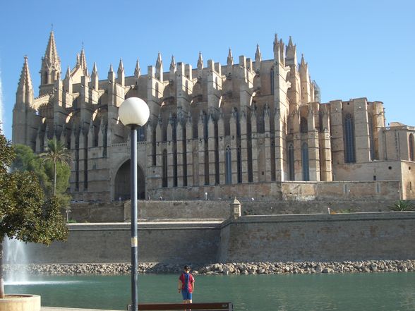 mallorca in port de soller - 