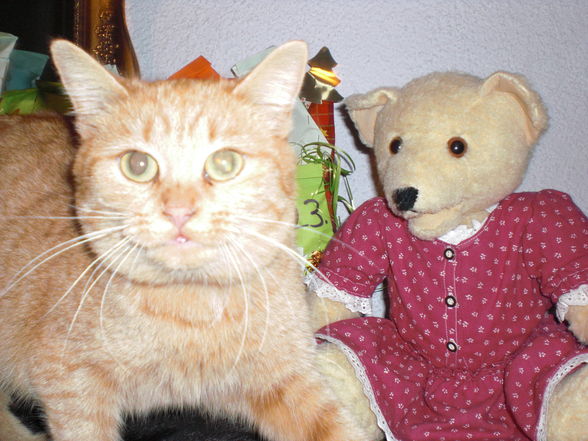 SCHNURRLIE UND TIGA - 