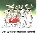 Frohes fest - 