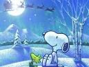 Snoopy - 