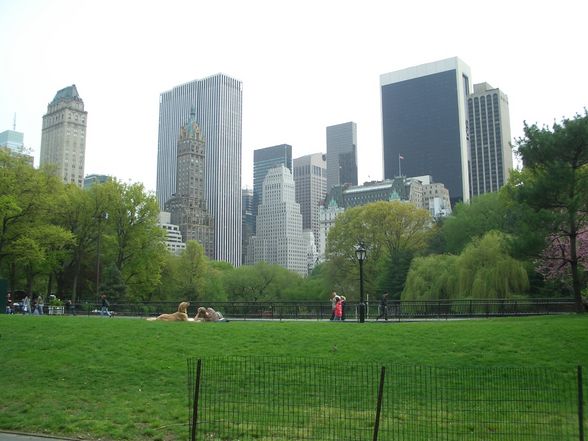 NEW YORK 2008    - 