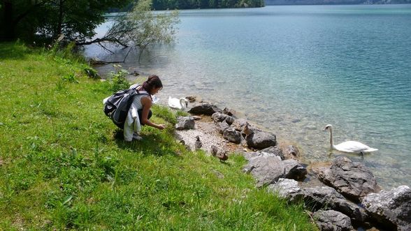 Woifalsee Juni 09 - 