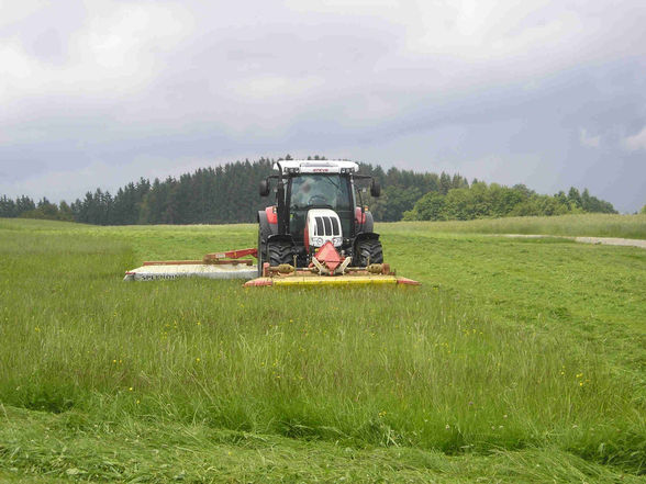 Landwirtschaft - 