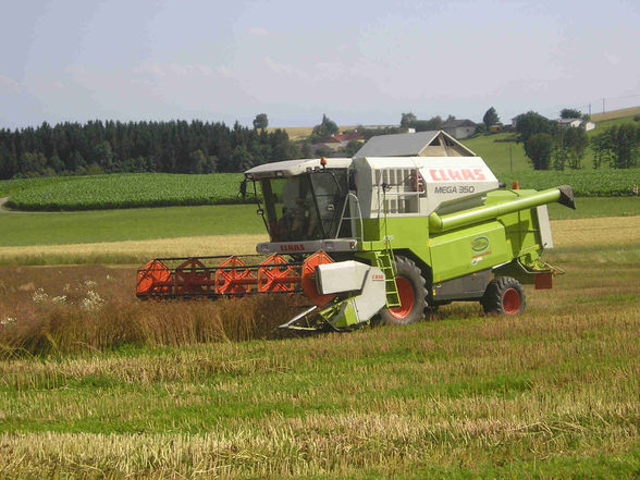 Landwirtschaft - 