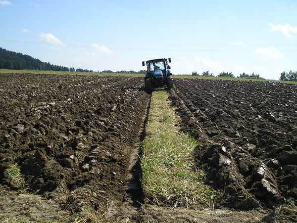 Orts-Bezirks-Landesplfügen - 