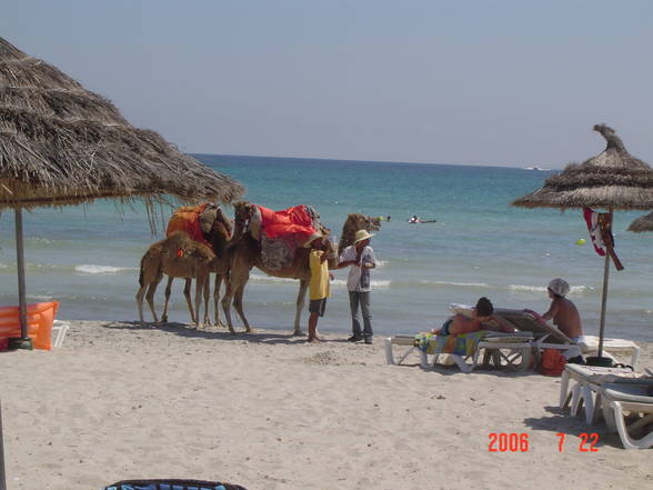 DJERBA 2006 - 