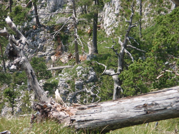 Bergsteigen ohne Ausrüstung - 