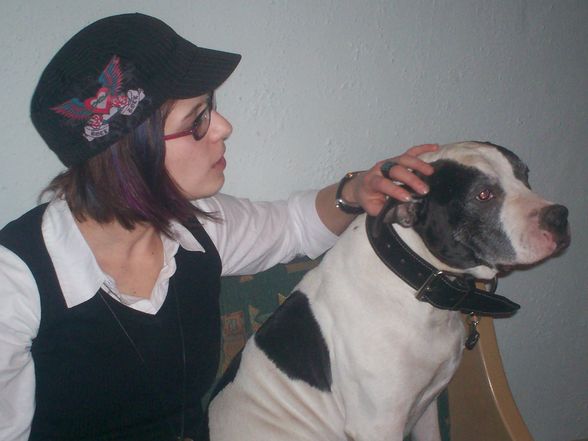 der beste hund aller zeiten - 