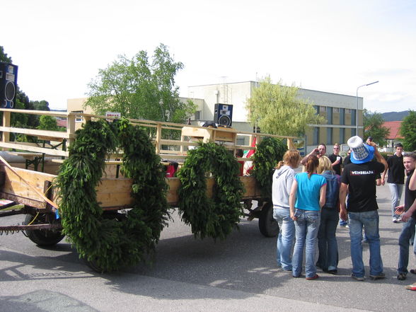 Maibaum von Hapi Papi - 