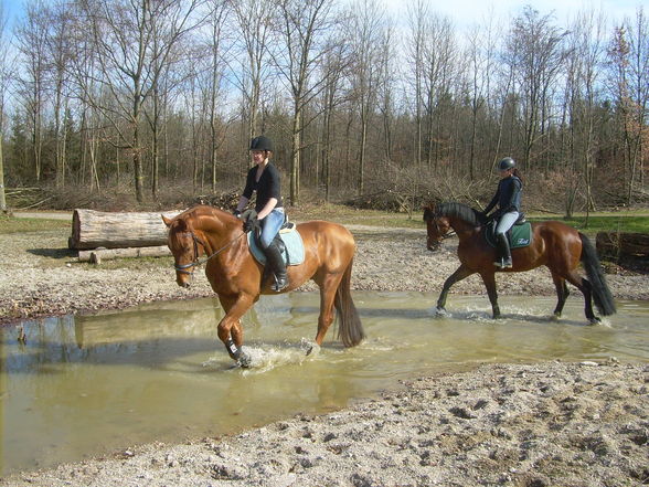 Reiten - 