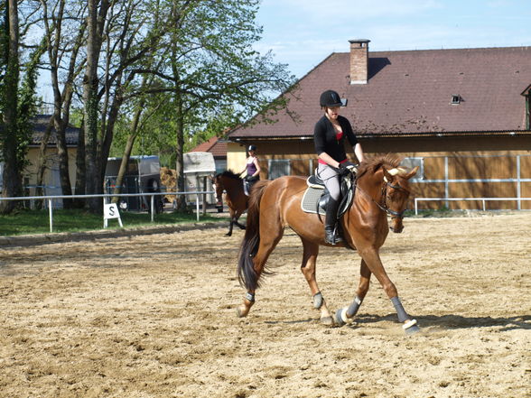 Reiten - 