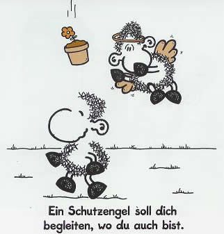 Sprüche - 