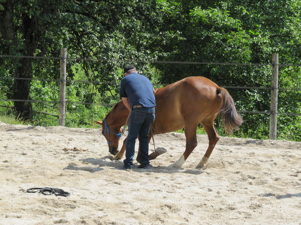 Hellmayr Kurs mid mein bbi (:  - 