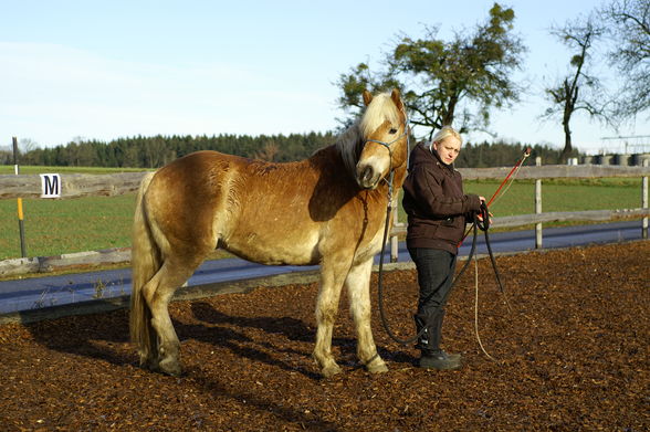 Training mit Rudi - 