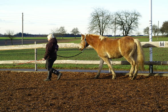 Training mit Rudi - 