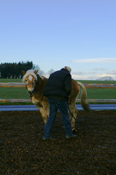 Training mit Rudi - 