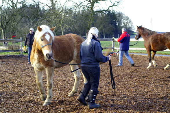 Training mit Rudi - 