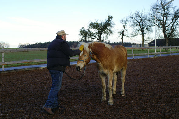 Training mit Rudi - 