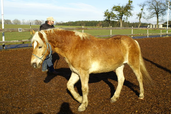 Training mit Rudi - 