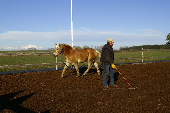 Training mit Rudi - 