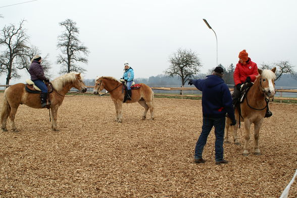 Training mit Rudi - 