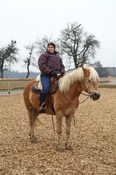 Training mit Rudi - 