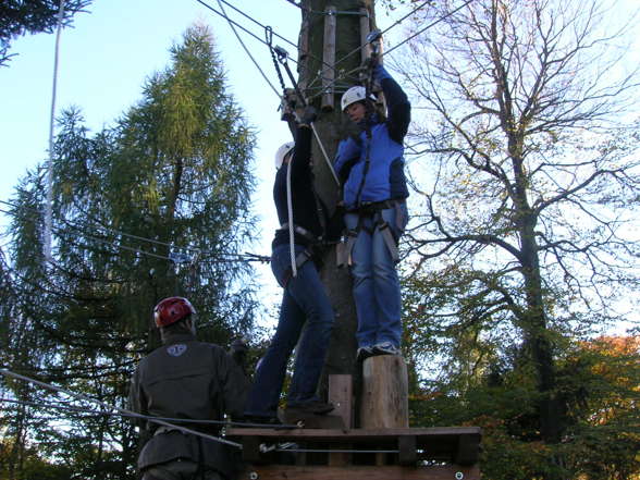 Waldhochseilgarten - 